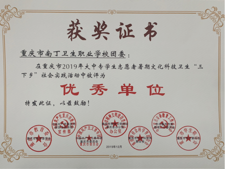 重慶市南丁衛生職業學校榮獲“優秀團隊”、“優秀單位”(圖2)
